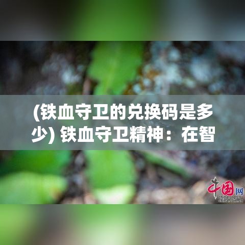 (铁血守卫的兑换码是多少) 铁血守卫精神：在智能科技飞速发展的今天，如何以铁血守卫之心保卫网络安全，维护数据隐私？